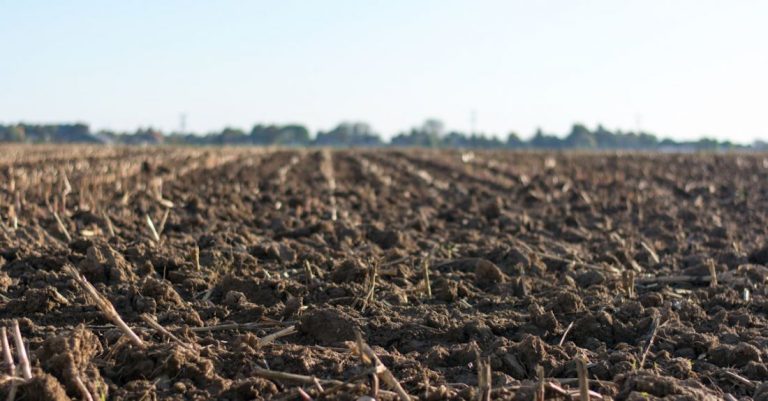 Soil - Eye-level Photo Of Cultivated Land