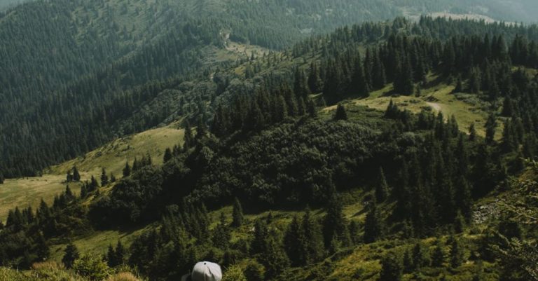 Hikes - A person in yellow shirt standing on top of a mountain