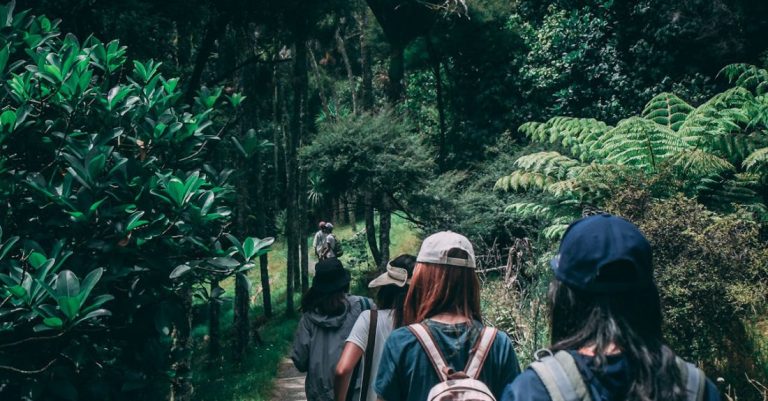 Trips - People Wearing Backpacks Walking on Pathway Near Green Leaf Plants