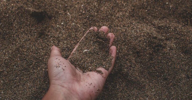 Soil - Close-Up Photo of Person Holding Sand