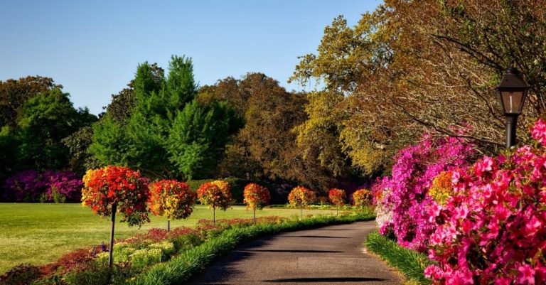 Garden - Gray Concrete Pathway Besides Pink Flower during Day