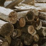 Battery Storage - Logs stacked in a pile outside a house