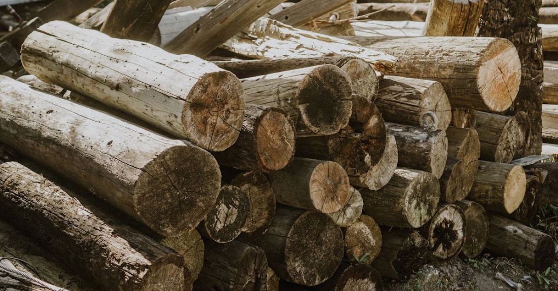 Battery Storage - Logs stacked in a pile outside a house