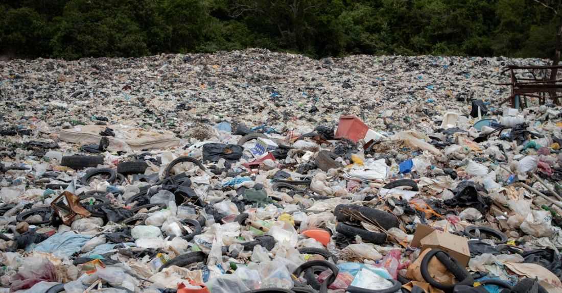 Waste - Landfill near Trees